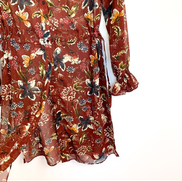 Fall Colored Sheer Zara Dress - Picture 5 of 12